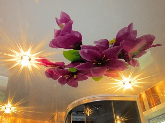 Парящие потолки с фотопечатью